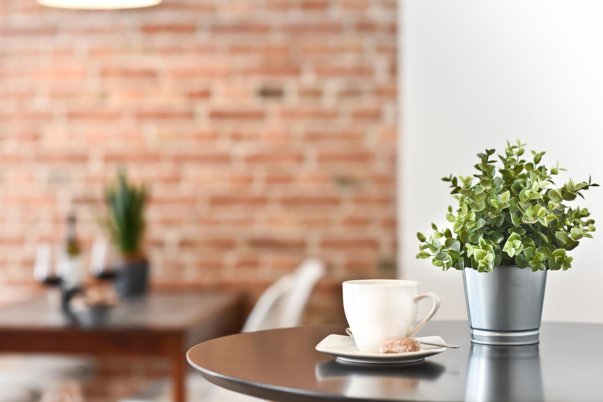 Green Garden Apartment Stary Toruń 외부 사진